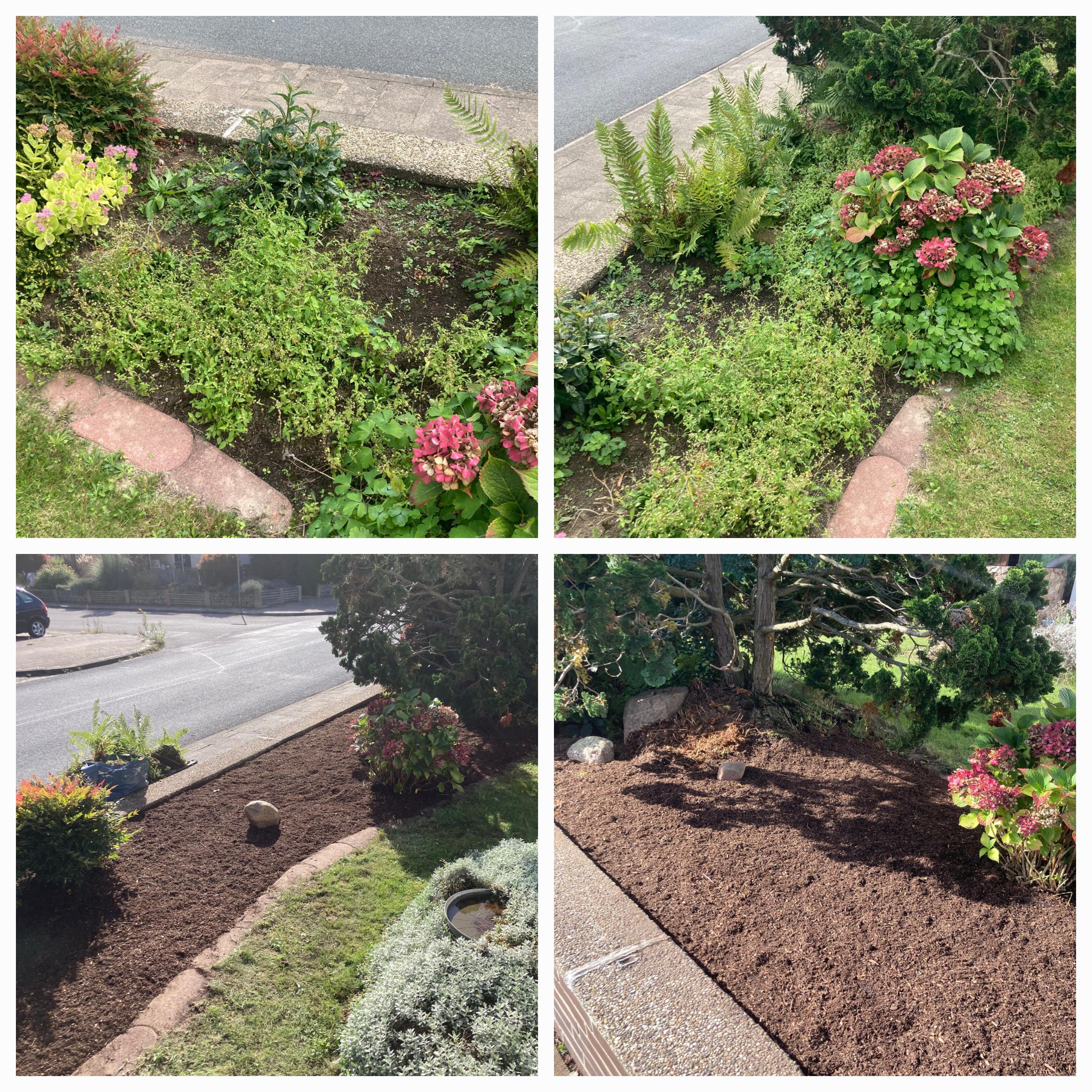 Gartenarbeiten und Gartenpflege